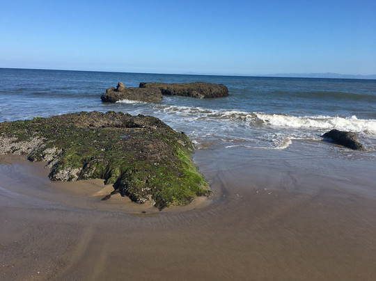 UCSB Lagoon-Isla Vista必去景点