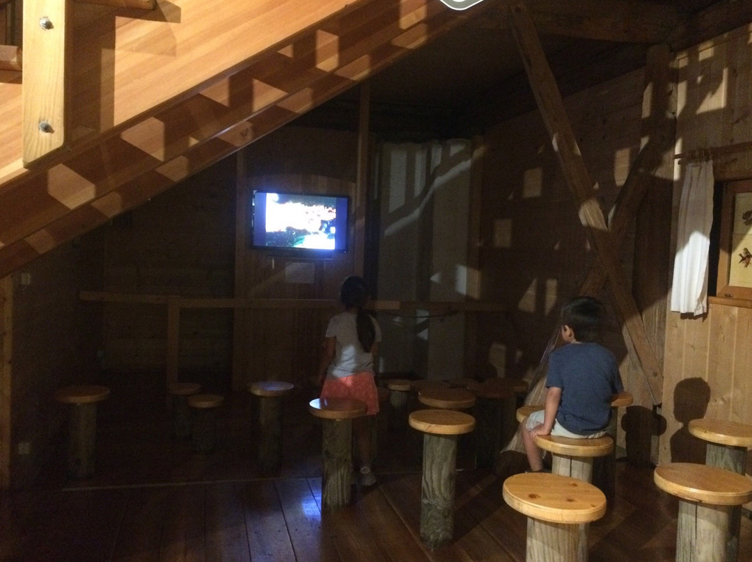 Mushroom Museum-Treffen必去景点