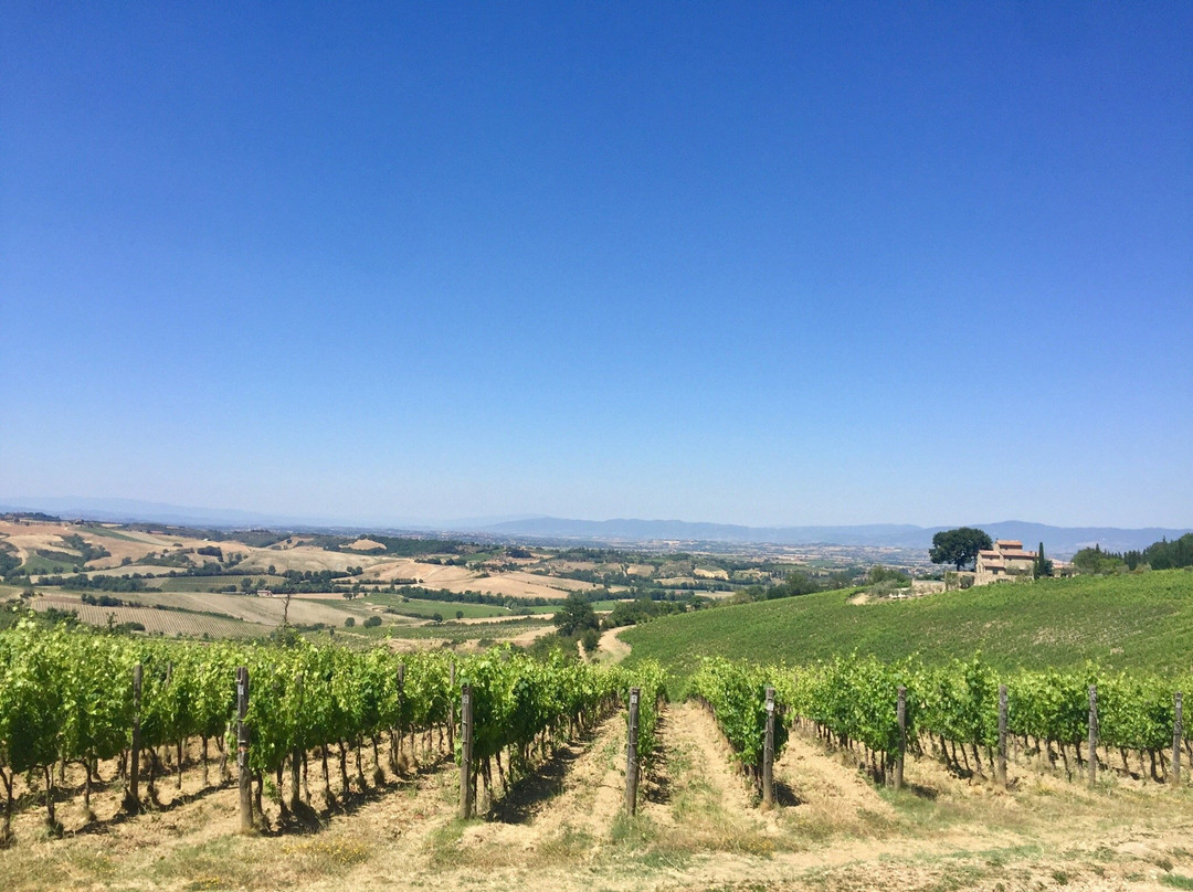 Petrignano酒店住宿-Fattoria Terrarossa