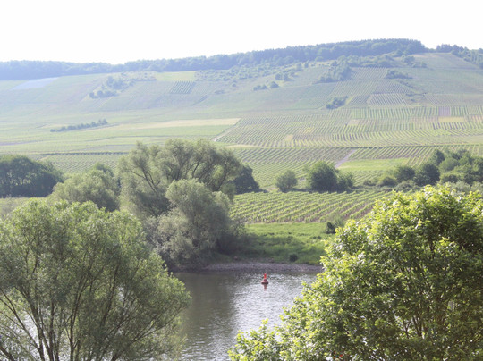 Osann-Monzel酒店住宿-Gastehaus Am Herrenberg