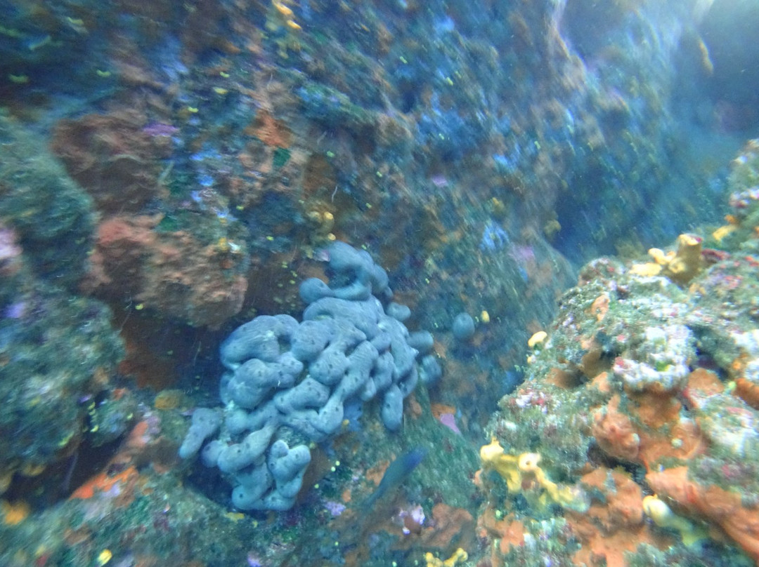 Cesme Dive-切什梅必去景点