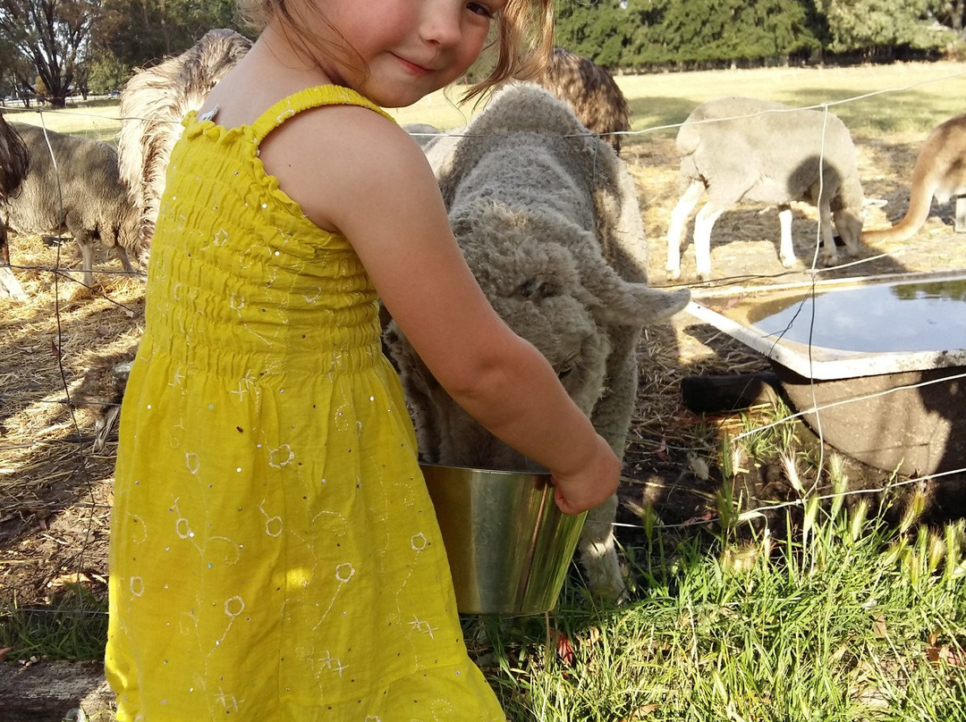 Enderslie House主图