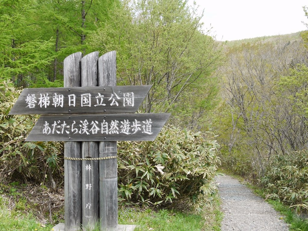 Adatara Valley Okudake Natural Trail景点图片