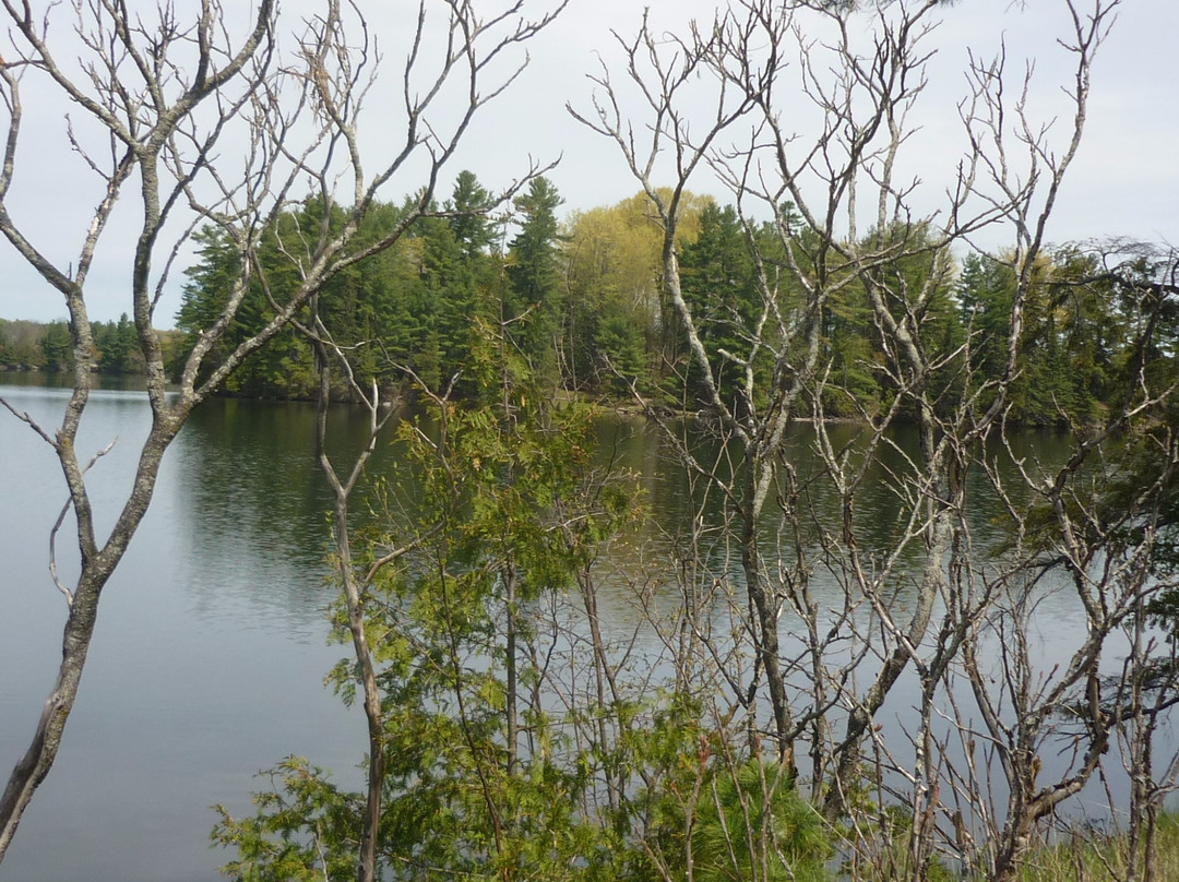 Silver Lake Provincial Park-Maberly必去景点