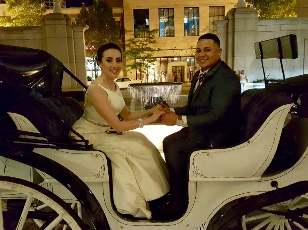 Chicago Horse and Carriage-芝加哥必去景点