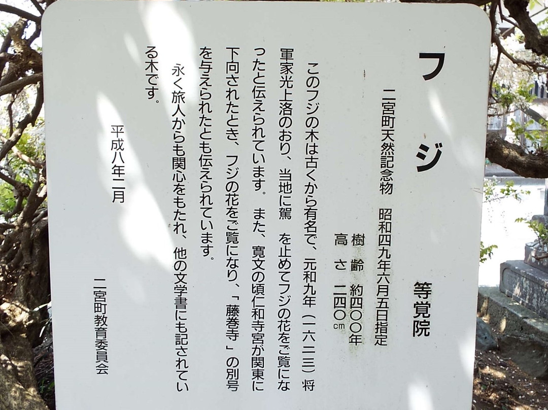 Tokaku-in-二宫町必去景点