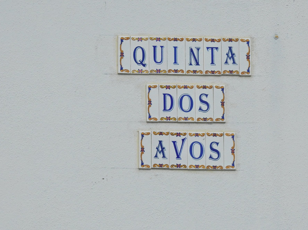 Quinta Dos Avos主图