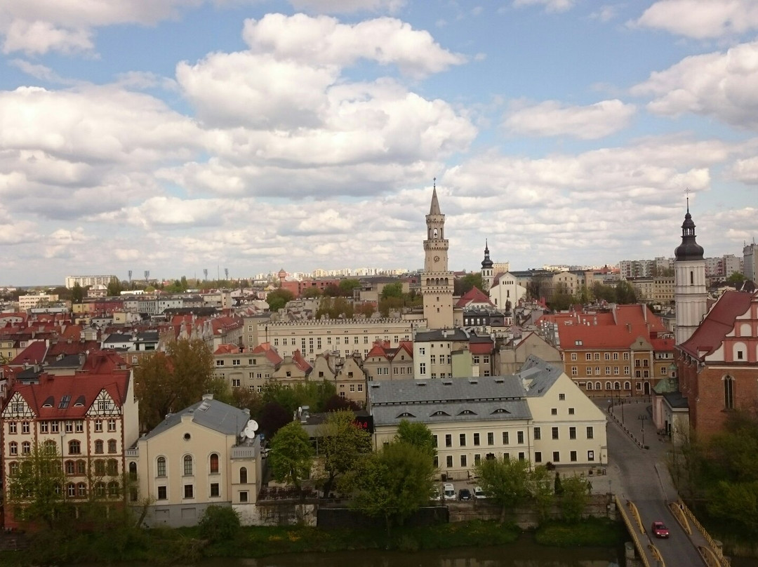 null-Opole