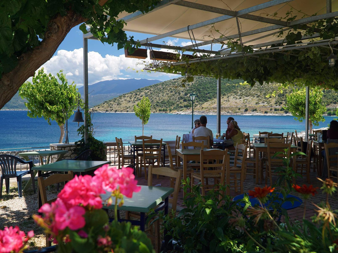 Taste Kefalonia Food Experience at Sea Rock ws-阿吉亚埃菲米亚必去景点