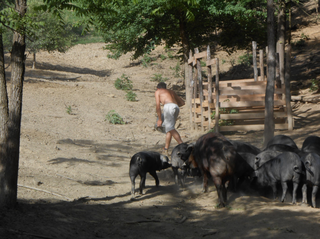 Azienda Agricola CIABOT景点图片