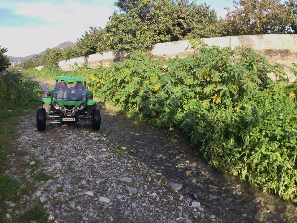 Buggy Buggy Tours-拉埃拉杜拉必去景点