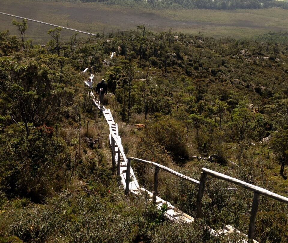 Sendero Cerro La Bandera-Tortel必去景点
