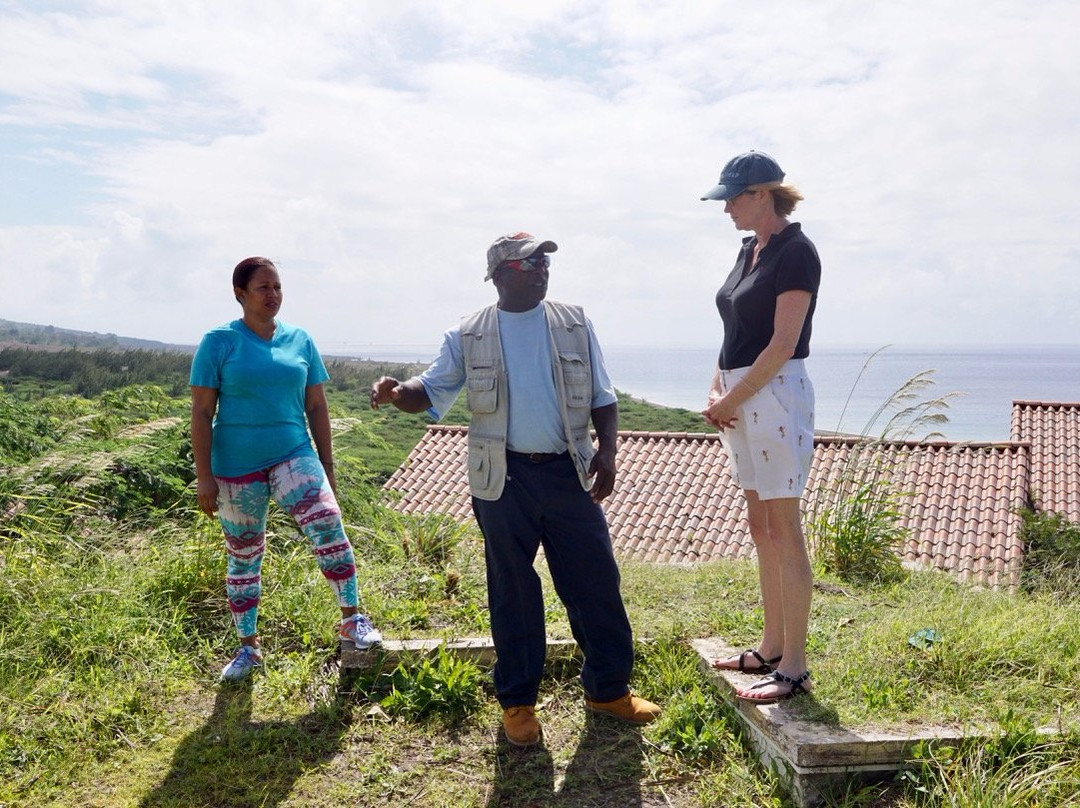 Scriber's Adventure Tours-Little Bay必去景点