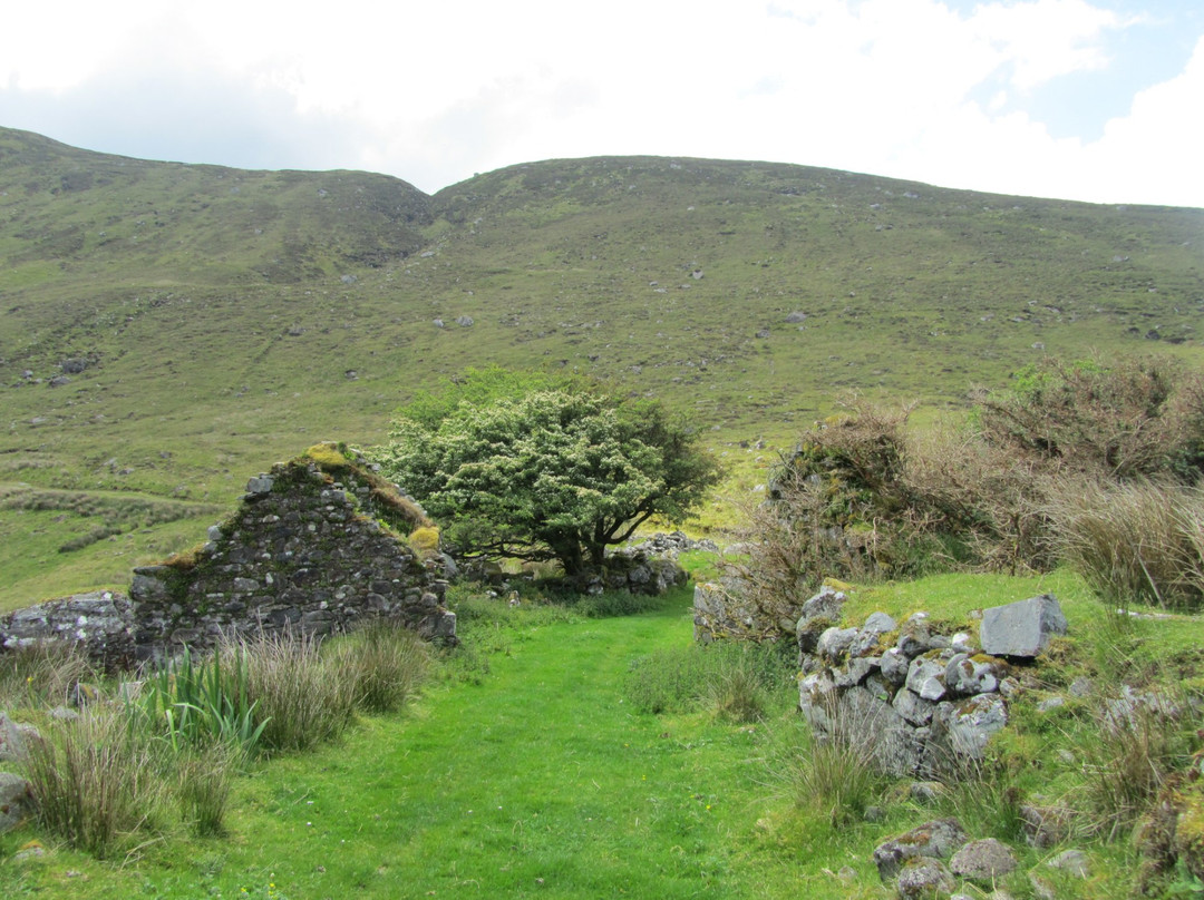 Lough Talt Loop Walk-斯莱戈必去景点