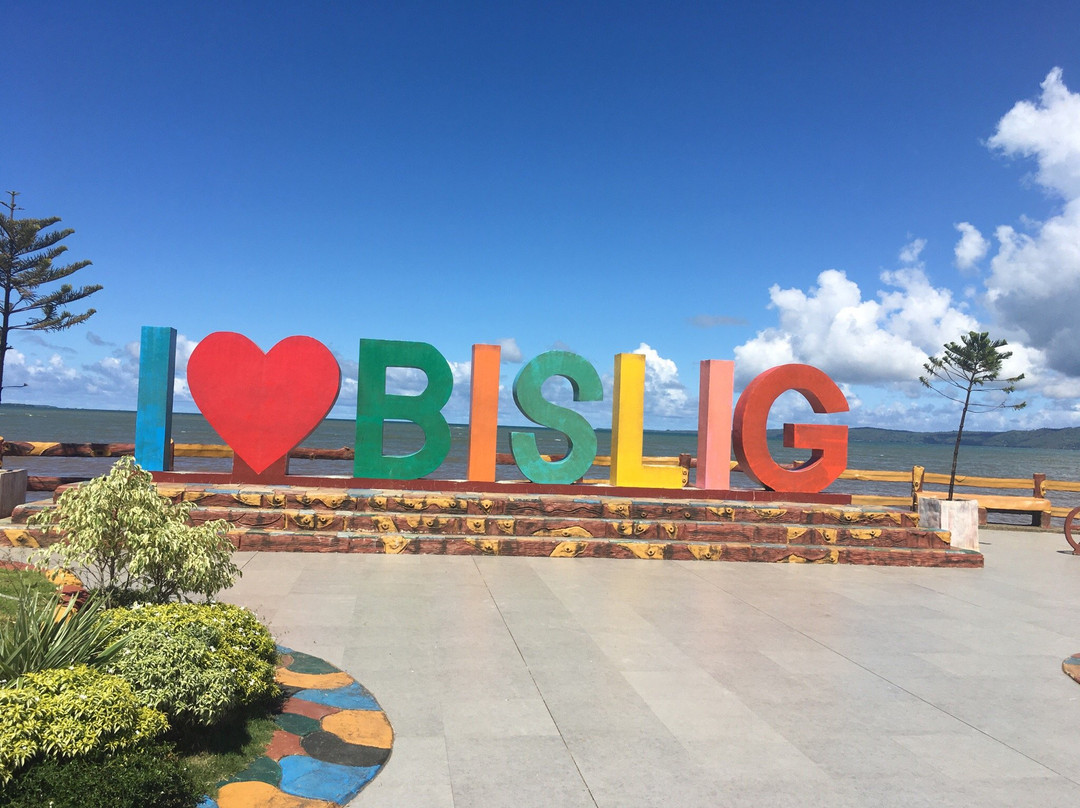 Bislig Baywalk-比斯利格必去景点