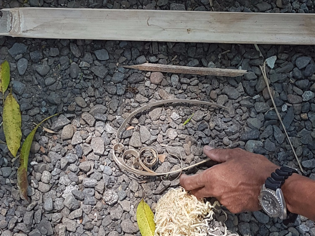 Jungle Environment Survival Training (JEST) Camp-苏比克湾自由贸易区必去景点