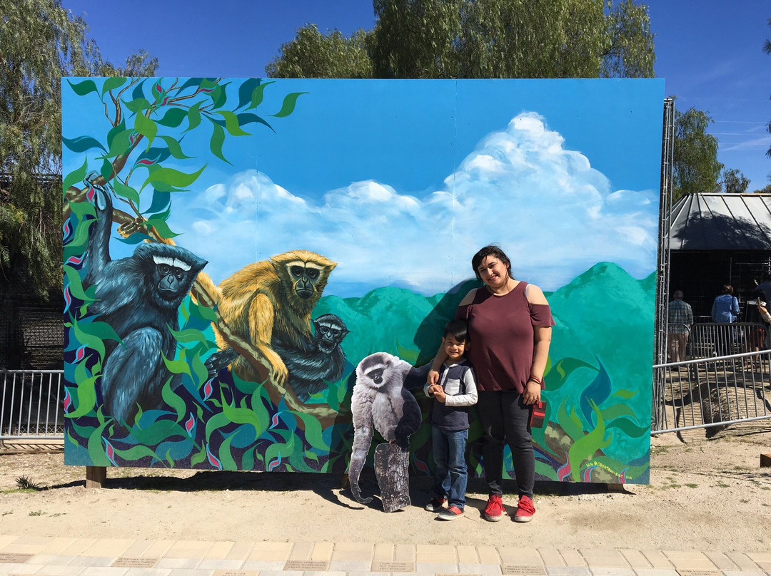 Gibbon Conservation Center景点图片