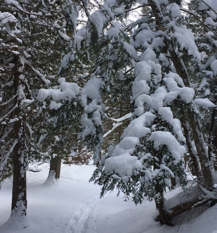 Devils Glen Provincial Park-Singhampton必去景点
