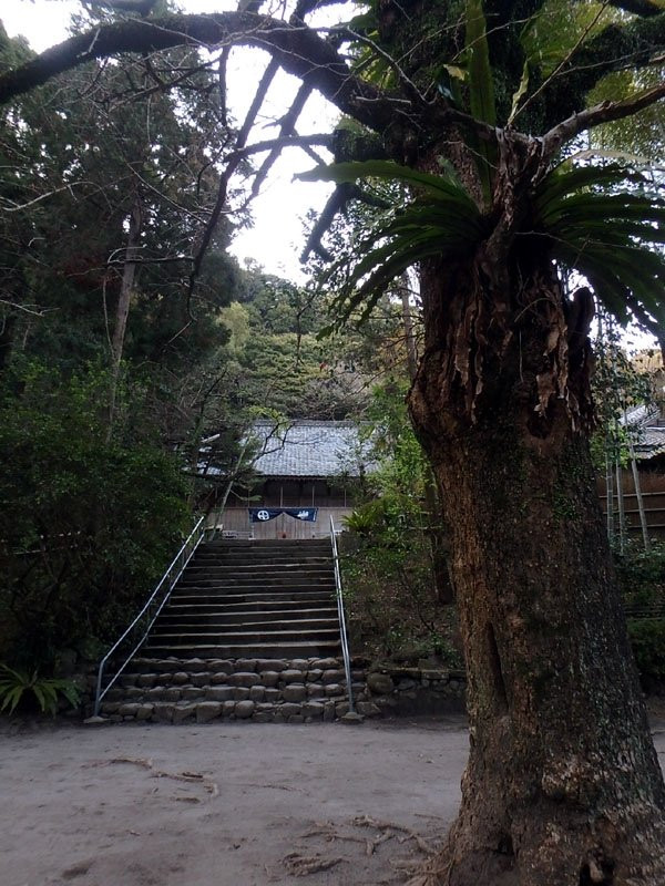 Daiji-ji Temple景点图片