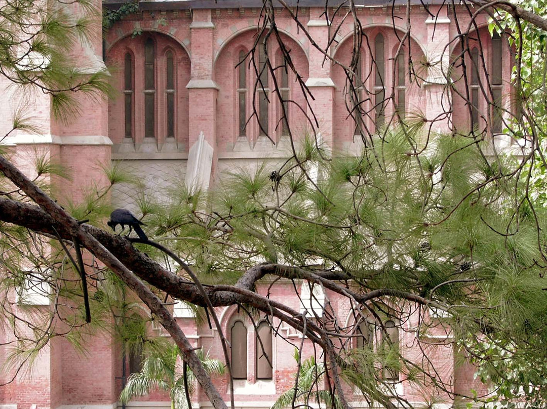 Sacred Heart Cathedral-拉合尔必去景点