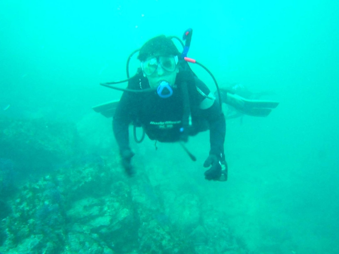 Baja Diving Adventures景点图片