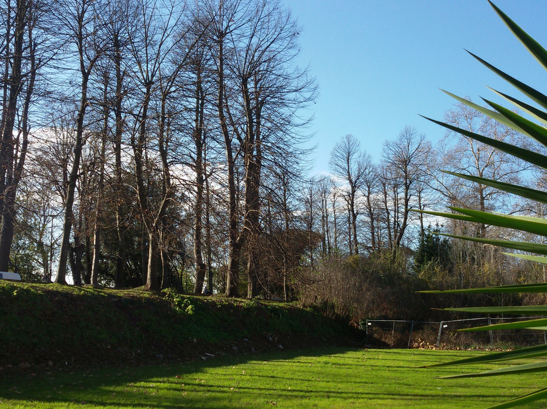 Viale delle Piagge景点图片