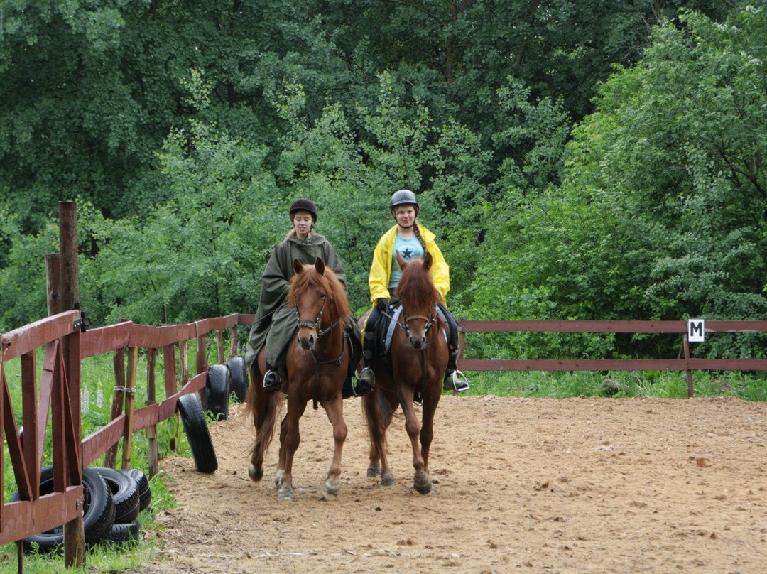 Equestrian Club PRIBOI景点图片