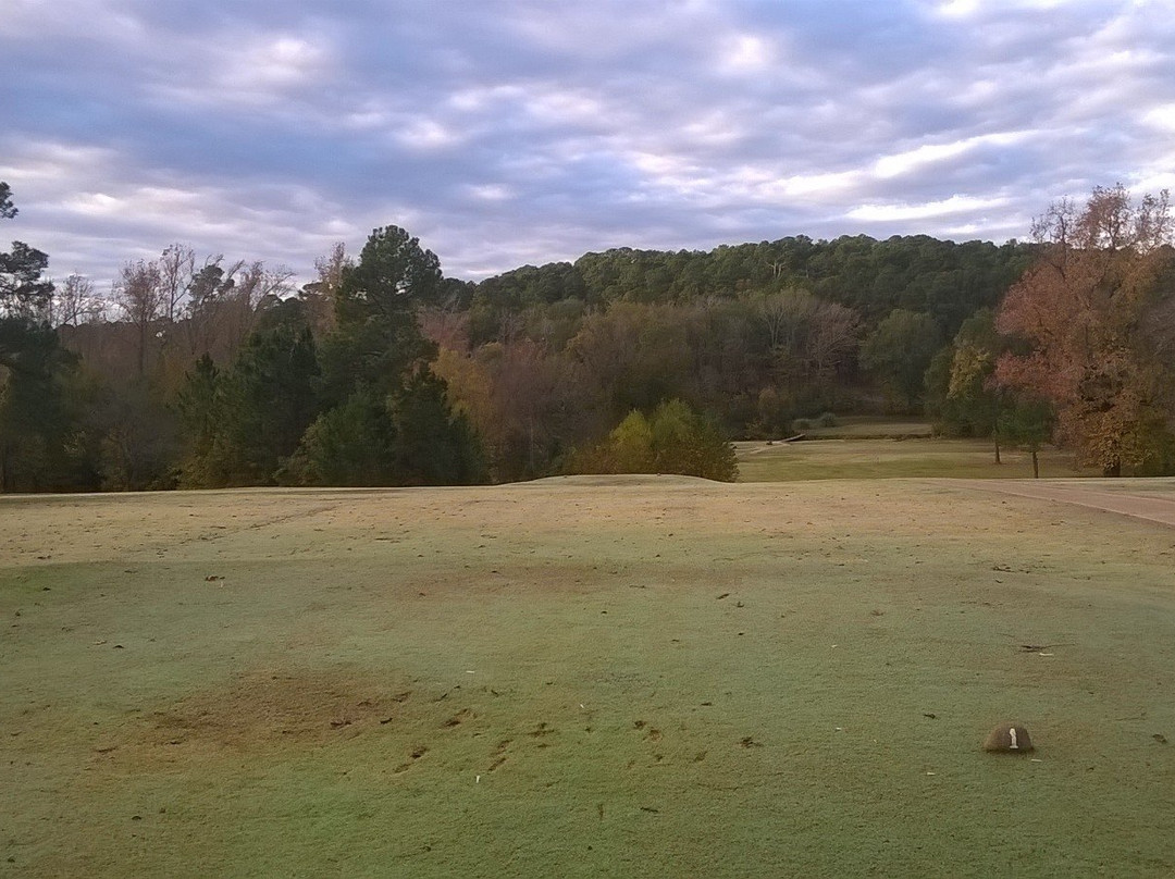 Wildcat Golf Course-Palestine必去景点
