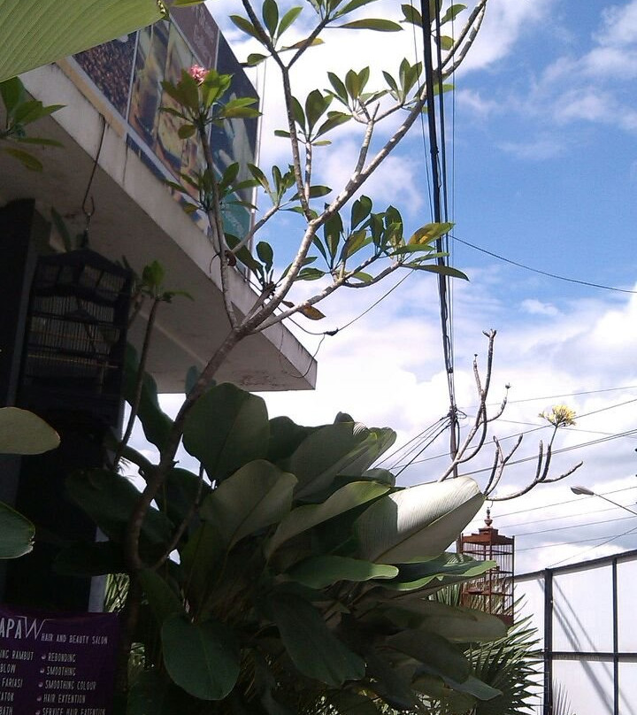 Papa W Guest House & Spa主图