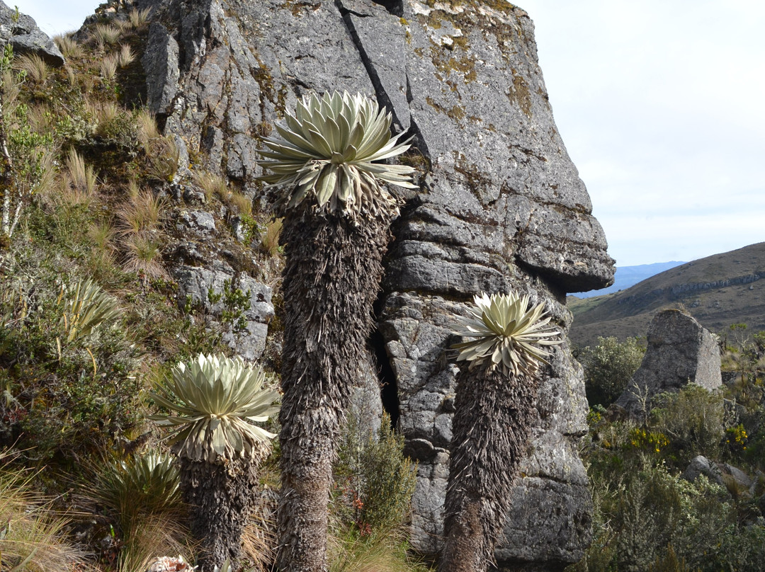 Paramo de Oceta-Mongui必去景点