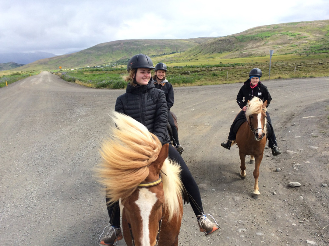 Icelandic Riding-雷克雅未克必去景点