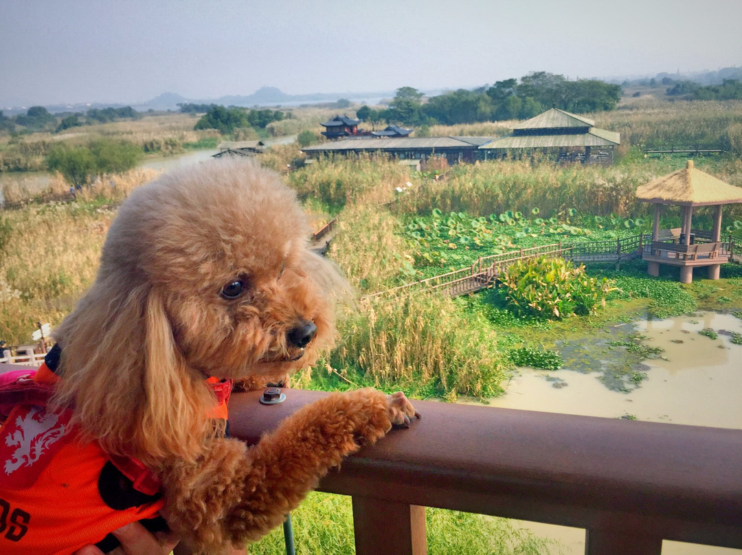 下渚湖风景区-德清县必去景点
