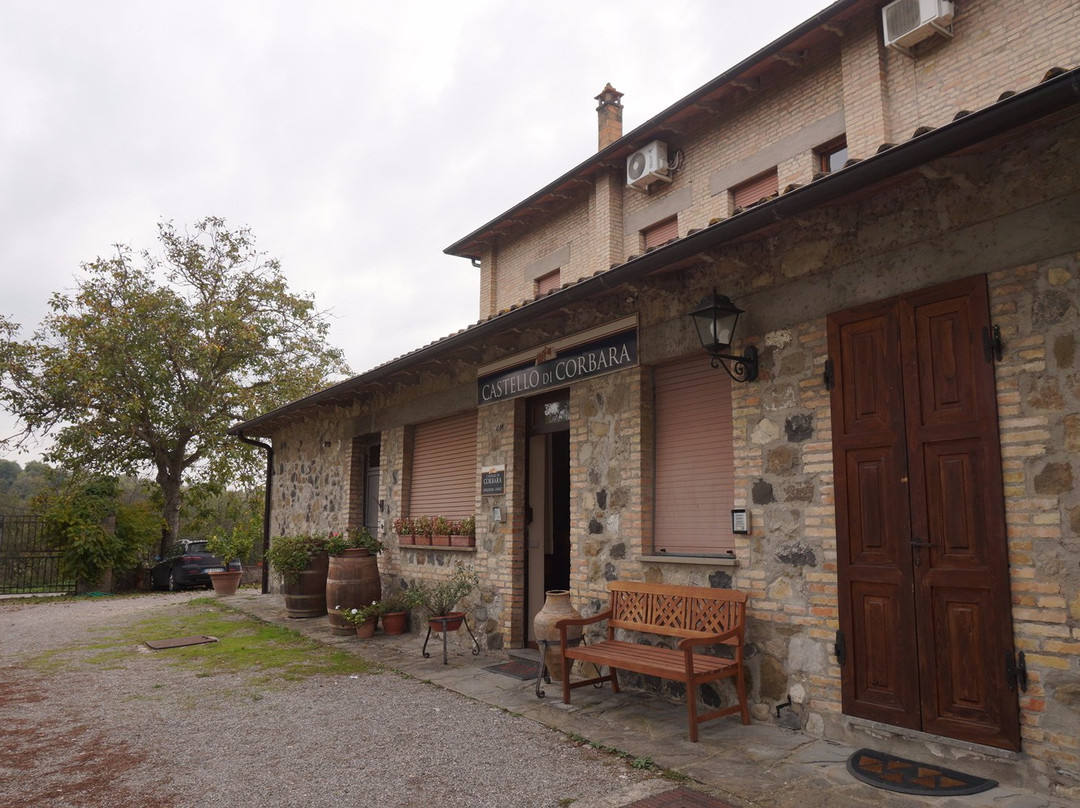 Castello di Corbara-奥尔维耶托必去景点