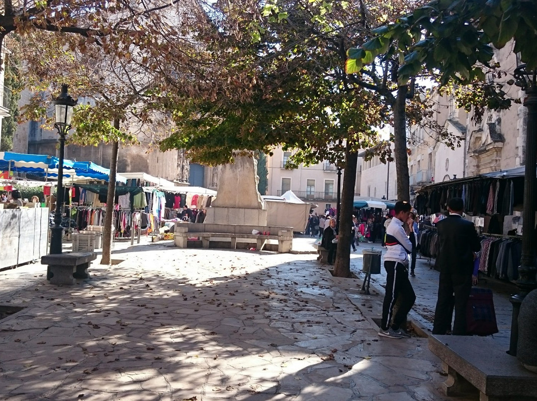 Placa de Jaume I景点图片