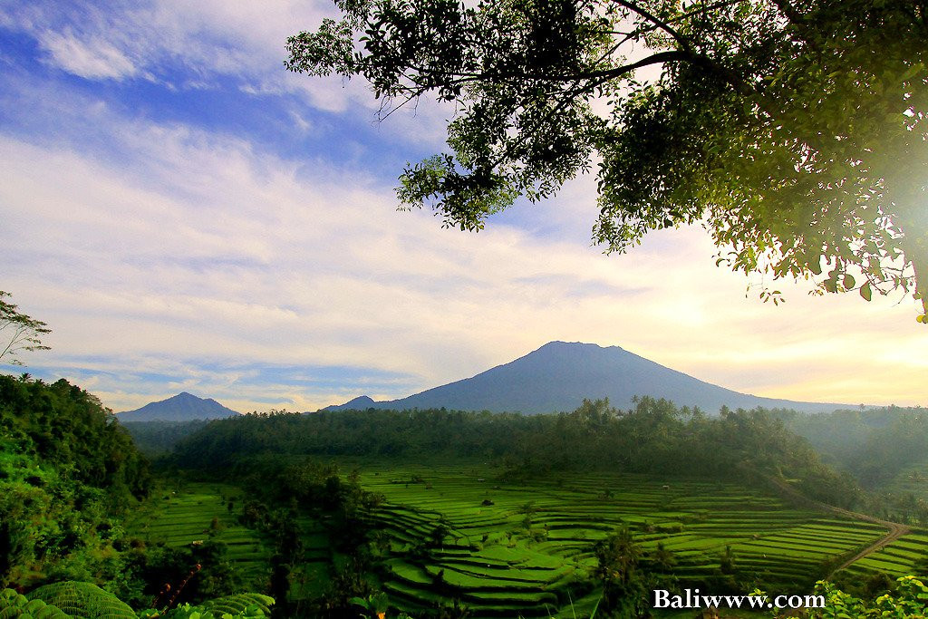 Your Bali Tour Driver-吉安雅必去景点