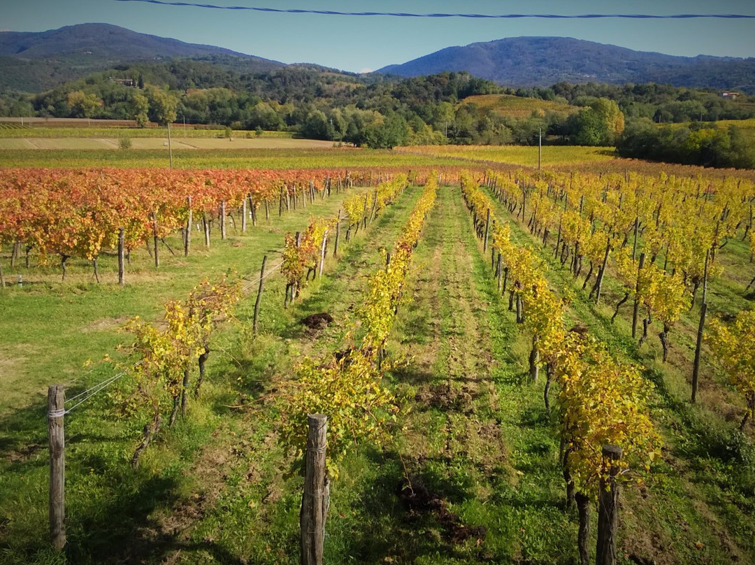 Agristurismos Il Borgo Dei Sapori