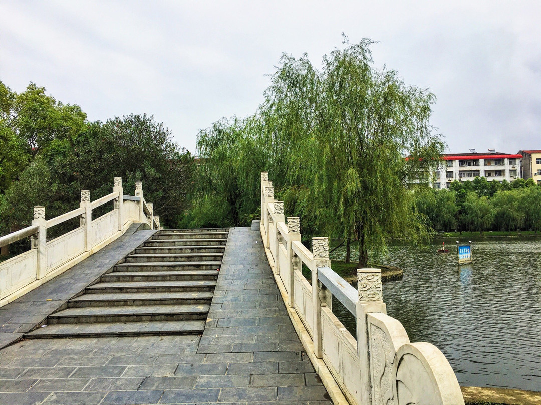 南门河游园景区-潜江市必去景点