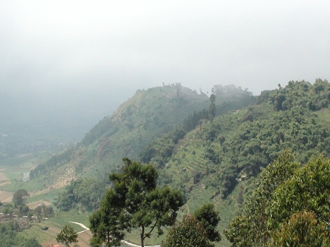 Dieng Volcano景点图片