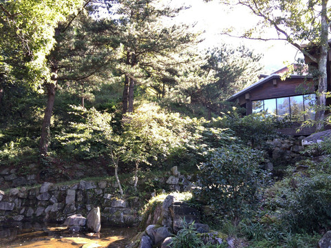 霍山大别山庄度假村主图