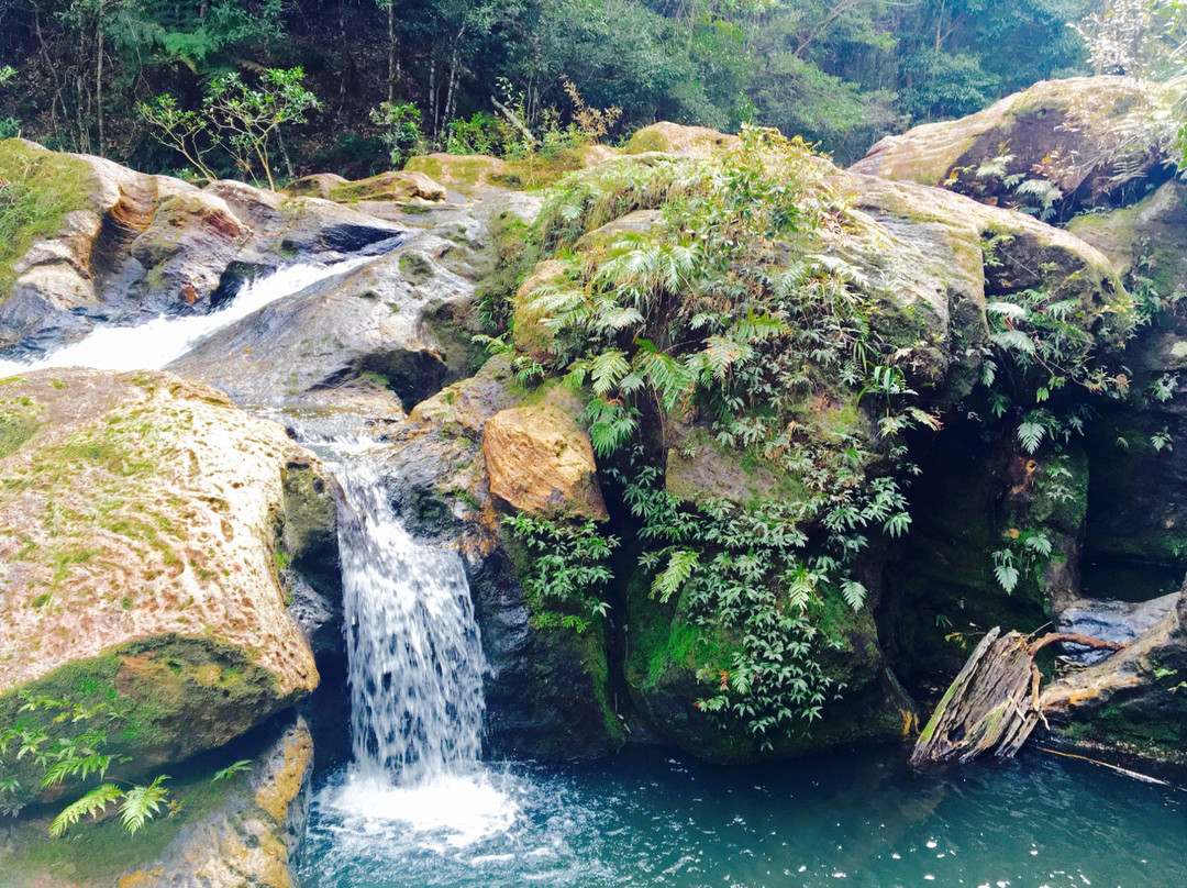 Mountain Bike Day Tours-拜伦湾必去景点