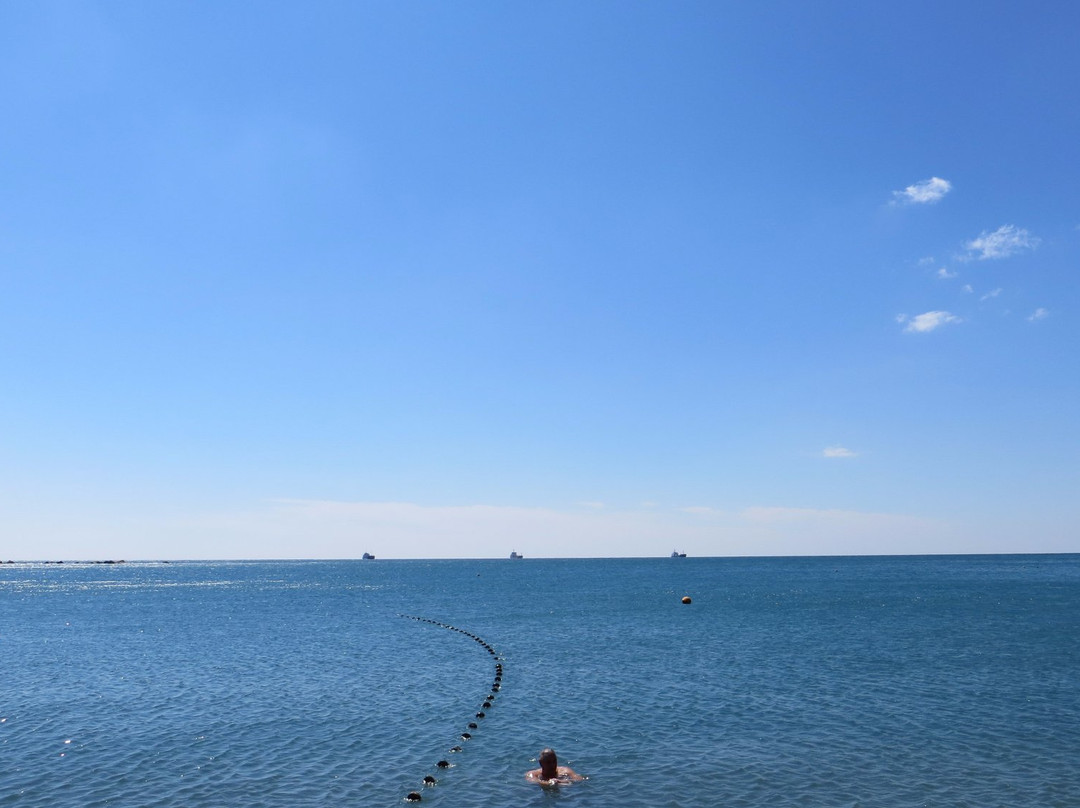 Primorskiy Beach景点图片