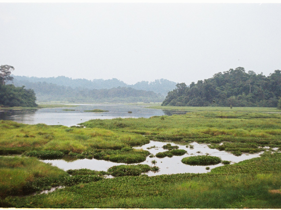 null-Cat Tien National Park