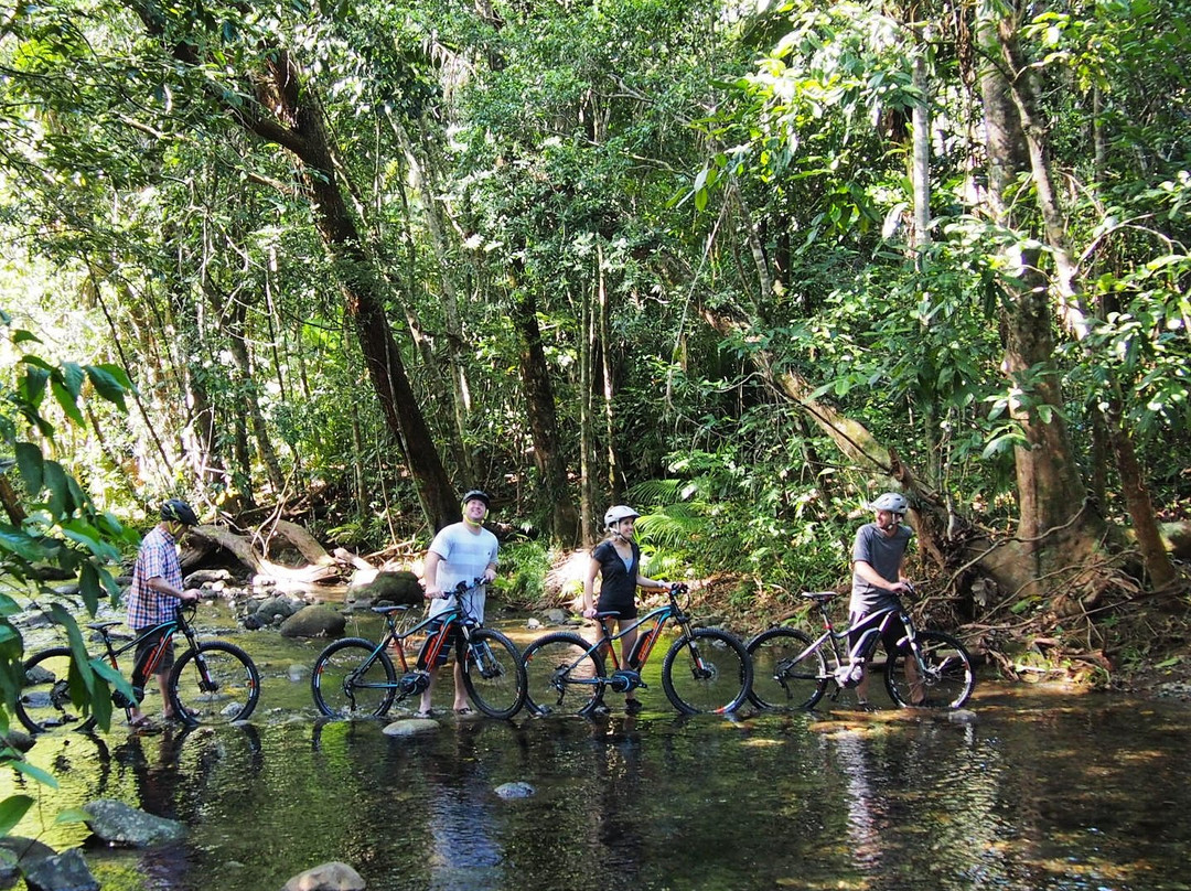Freeride Electric Adventure Tours-Cape Tribulation必去景点