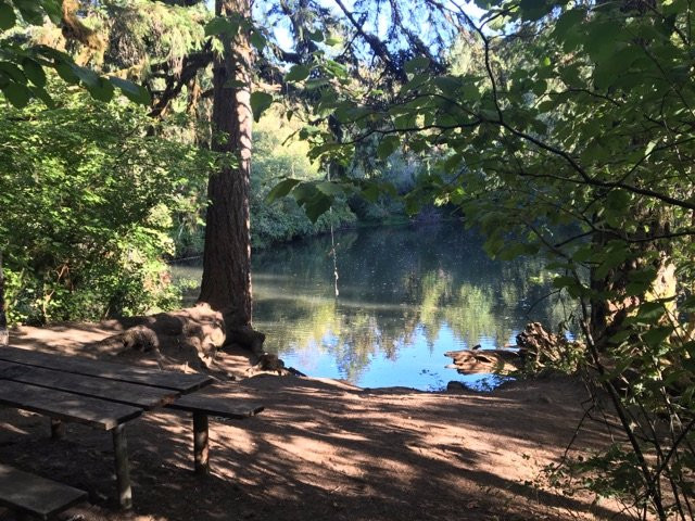 Siuslaw Falls景点图片
