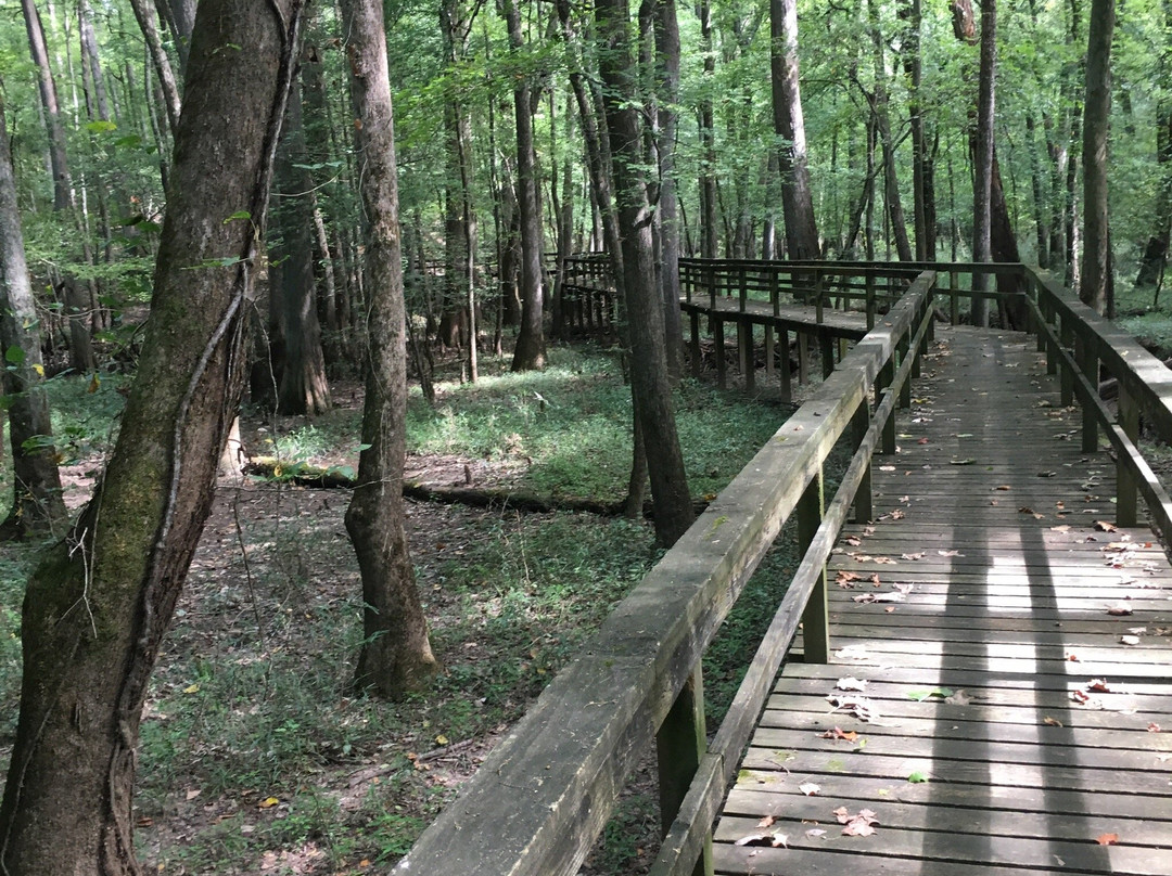Pinson Mounds State Park-Pinson必去景点
