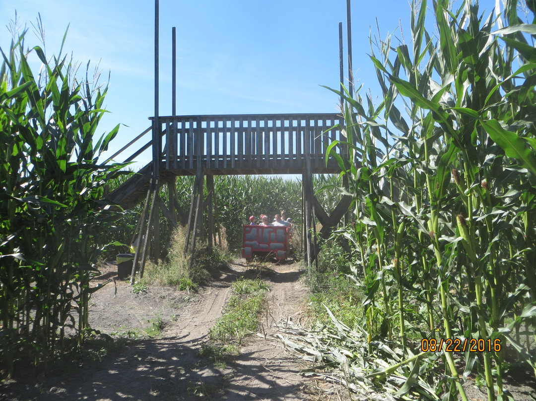 Hopcott Farms-匹特草原必去景点