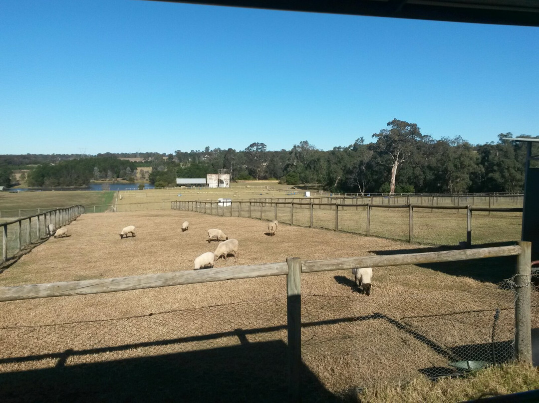 Mowbray Park Holidays-Picton必去景点