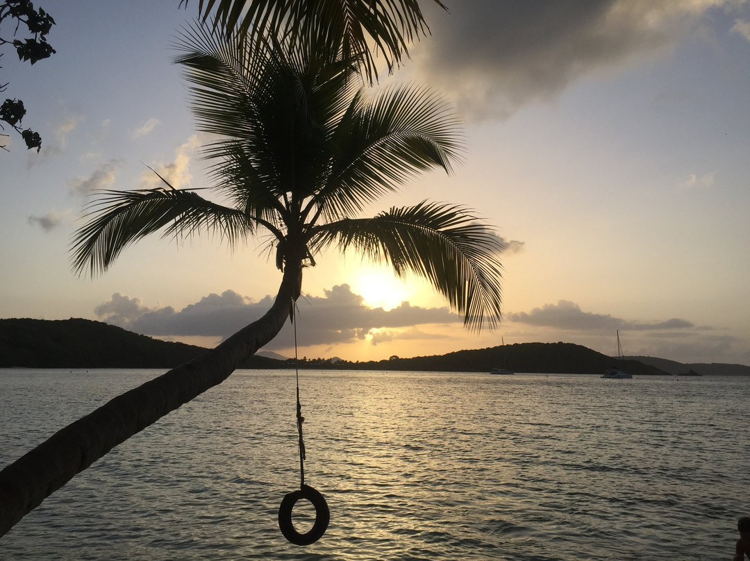 Oppenheimer Beach-克鲁兹湾必去景点
