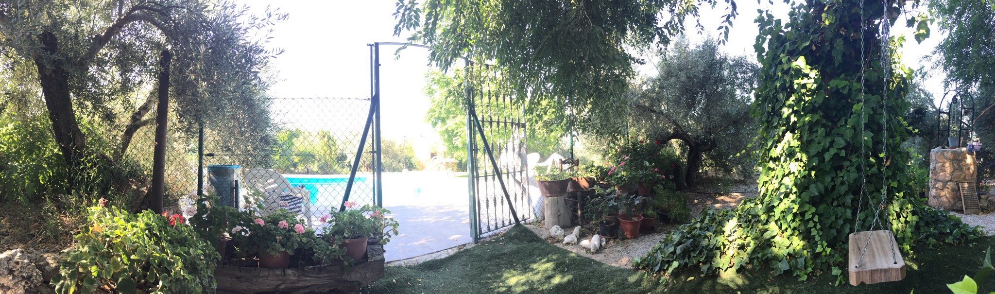 El cortijo de Santa Ana-泳池