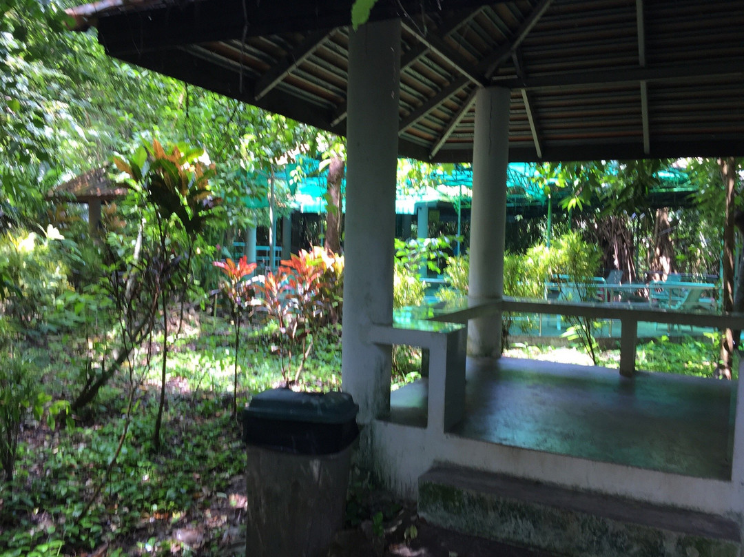 Tham Khao Plu Hot Spring景点图片